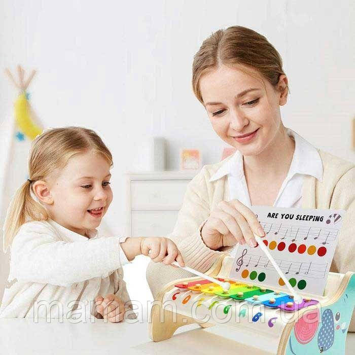 Дитячий ксилофон Top Bright 120407 Слоненя з нотами, фото 1