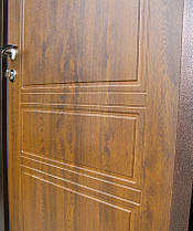 Двері Redfort Преміум Метал-МДФ Осінь, фото 3
