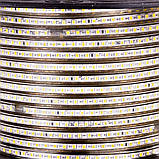 Світлодіодна стрічка 220V, 2835, 120 led/m, 8W, IP68, 720Lm, 6500K-білий холодний, фото 3