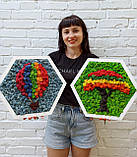 Декор в дитячу кімнату. Набыр з двох картин з моху. Повітряна куля, дерево бажання, фото 8