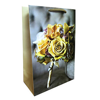 Подарунковий пакет 23*15*8 см