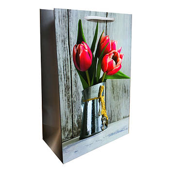 Подарунковий пакет 23*15*8 см