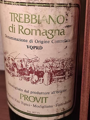 Вино 1977 року Trebbiano Італія, фото 2
