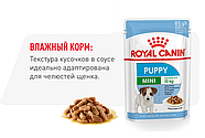Консерви Royal Canin Mini Puppy (Роял Канін Міні Паппі) для цуценят 12х85 грамів, фото 3