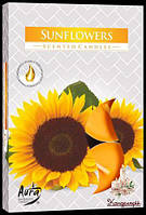Свічка чайна ароматична (таблетка) Sunflowers