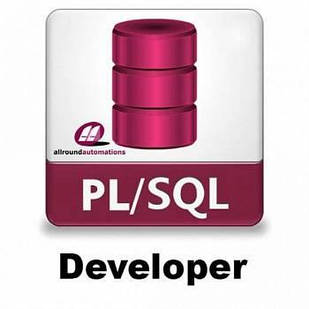 Allround Automations PL/SQL Developer 14.0 - 10 user license
