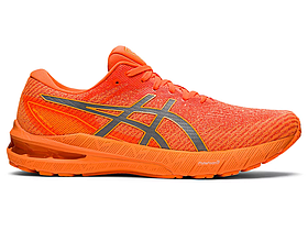 Оригинальные мужские кроссовки для бега Asics GT-2000 10 LITE-SHOW (1011B457-800)