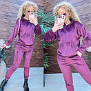 Жіночий оксамитовий спортивний костюм з худі та звуженими штанами (р. 42-48) 11so2007, фото 3