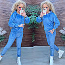 Жіночий оксамитовий спортивний костюм з худі та звуженими штанами (р. 42-48) 11so2007, фото 6