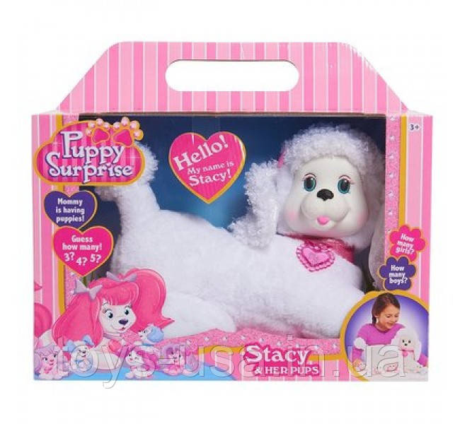 Puppy surprise sale stacy