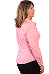 Сорочка офіс жіноча бавовна колір "Фламінго" Бл 006, фото 4