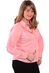 Сорочка офіс жіноча бавовна колір "Фламінго" Бл 006, фото 3