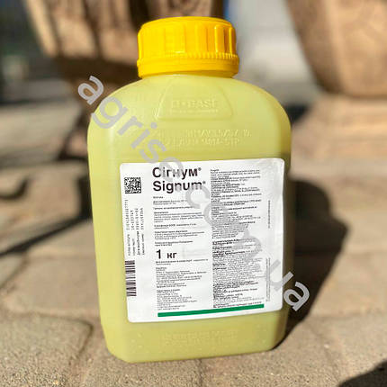 Фунгіцид Сігнум (Signum) BASF 1кг, фото 3