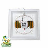 Інкубатор "Квочка" з механічним переворотом і вбудованим вентилятором (теновий нагрів). Експортний варіант, фото 3