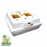 Інкубатор "Квочка" з механічним переворотом і вбудованим вентилятором (теновий нагрів). Експортний варіант, фото 6