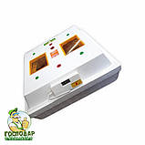 Інкубатор "Квочка" з механічним переворотом і вбудованим вентилятором (теновий нагрів). Експортний варіант, фото 5