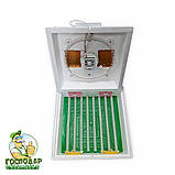 Інкубатор "Квочка" з механічним переворотом і вбудованим вентилятором (теновий нагрів). Експортний варіант, фото 2