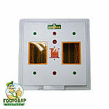 Інкубатор "Квочка" з механічним переворотом і вбудованим вентилятором (теновий нагрів). Експортний варіант, фото 4