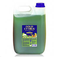 Моющее средство для посуды Gold Cytrus Лайм зеленый 5 л