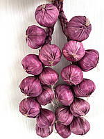 Часник синій , декоративна косичка синього часнику  (  40 см  10 штук ), фото 2