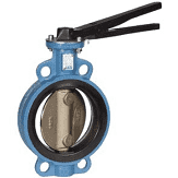 Клапан Зворотний чавунний диск PN 10 250 (250)