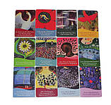 Закон Тяжіння Карти, Вчення Абрахама ( ukraine ), фото 4