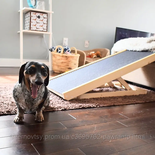 Paw Ramp Full, Пандус для собак, Рампа для собак, Трап для собак