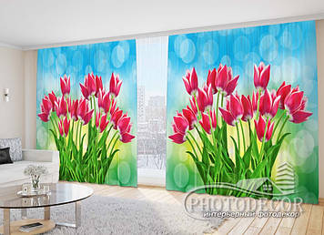 Фото Штори "Тюльпани на блакитному фоні" - Будь-який розмір, Читаємо опис!