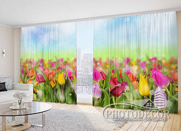 Фото Штори "Поле з різнокольоровими тюльпанами" - Будь-який розмір, Читаємо опис!