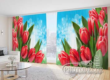Фото Штори "Червоні тюльпани на блакитному фоні" - Будь-який розмір, Читаємо опис!