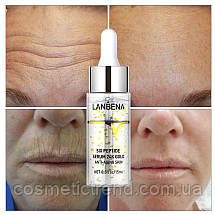 Lanbena Six Peptide Serum 24K Gold Anti-aging skin Сироватка антивікова для обличчя 15 мл, фото 5
