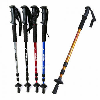 Палиці туристичні