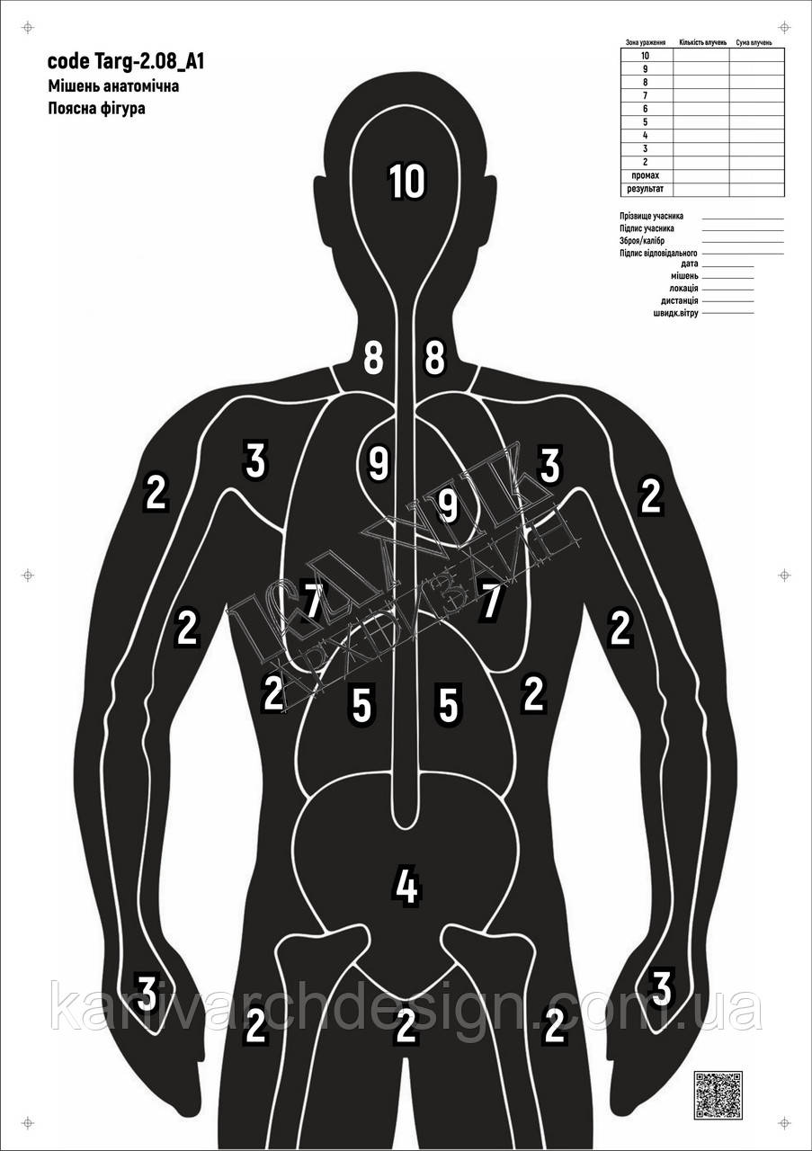 Мішень для стрільби Силует анатомічний з зонами, targ-3.03, формат А1, розмір 594х841мм, фото 1