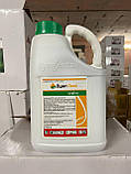 Гербіцид Дуал Голд 5 л, фото 3