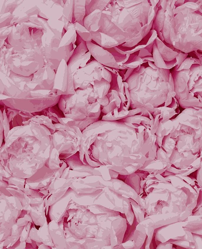 Малювання по номерам Artissimo Ніжність (ART-B-5103) 40 х 50 см, фото 1