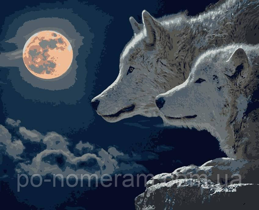 Акційна Розмальовка для дорослих Artissimo Пара вовків (PN4040) 40 х 50 см, фото 1