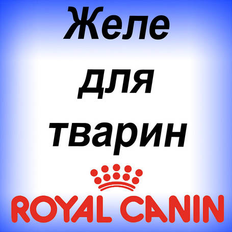 Залі для творців