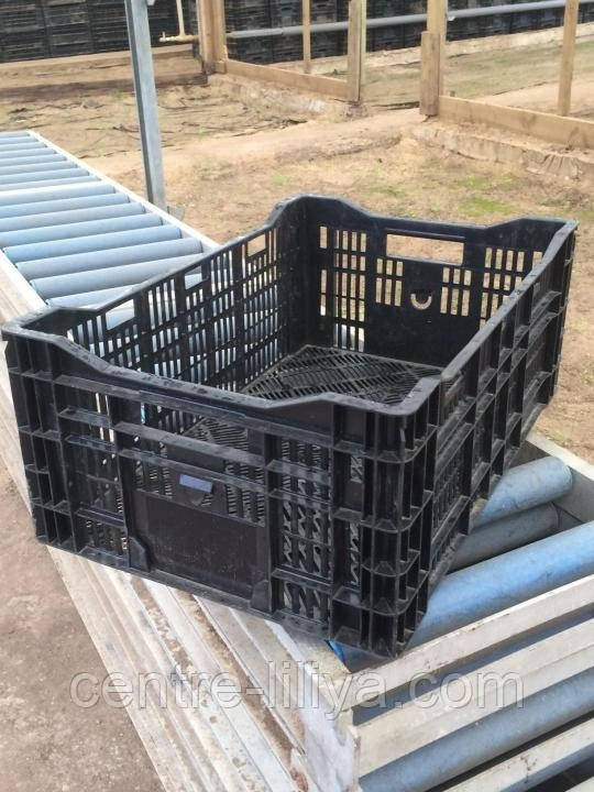 Ящик пластиковий чорний