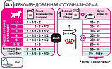 Влажный корм Royal Canin (Роял Канин) Kitten Loaf для котят до 12 месяцев (паштет) 0.085 кг, фото 4