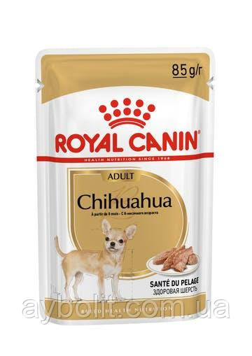 Влажный корм Royal Canin (Роял Канин) Chihuahua для взрослых собак породы чихуахуа в возрасте от 8 мес 0.085 кг