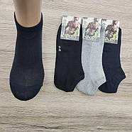 Шкарпетки чоловічі короткі літо сітка асорті р.40-45 RICH STYLE 30035142, фото 2