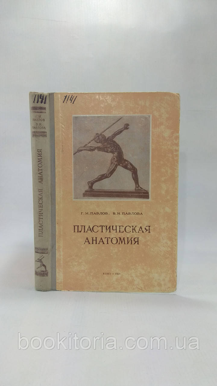 Павлов Г., Павлова В. Пластична анатомія (б/у).