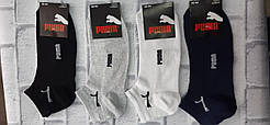 Оптом шкарпетки чоловічі СІТКА короткі puma 40-44р.