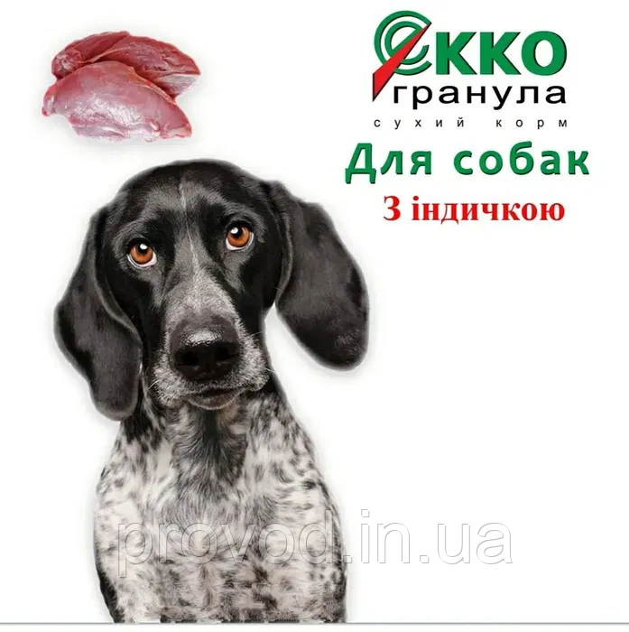 Корм для собак середніх та великих порід з індичкою EKKO ГРАНУЛА преміум класу 10 кг