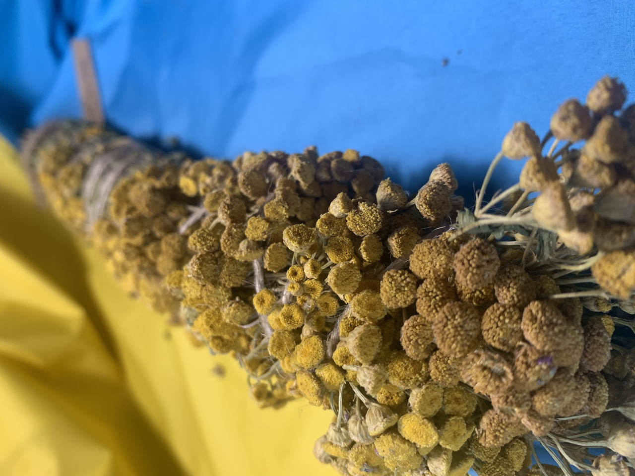 Пахощі для обкурювання, скручування з трави піжма, травяний збір, фото 1