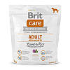 Brit Care (Брит Кеа) Adult Medium Breed Lamb & Rice Корм для дорослих собак середніх порід ягня/рис 1 кг, фото 2