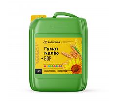 Гумат + Бор 5 л, Бор гумат для сої, соняшника, винограду, ріпаку, буряка, картоплі