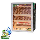 Інкубатор автоматичний Господар на 300 яєць з регульованою вологістю, фото 2