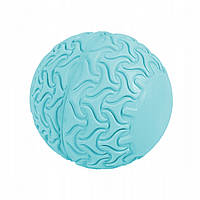 Масажний м'яч SportVida Massage Ball 13 см SV-HK0234 Sky Blue .
