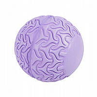 Масажний м'яч SportVida Massage Ball 13 см SV-HK0233 Purple .